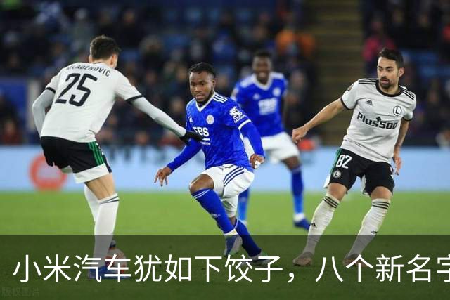 小米汽车犹如下饺子，八个新名字闪亮登场！