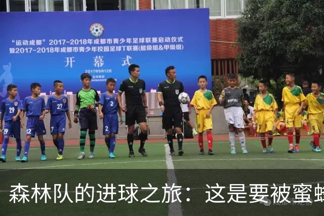 森林队的进球之旅：这是要被蜜蜂军团给蜜了？