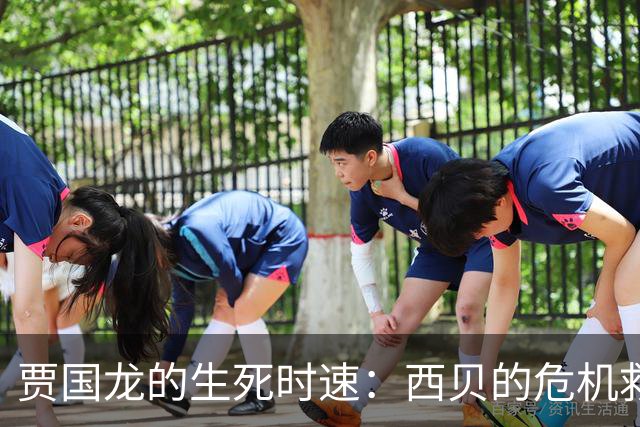 贾国龙的生死时速：西贝的危机救赎大作战